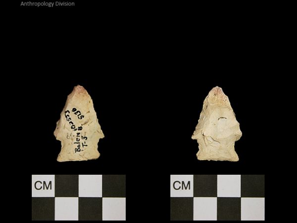 Bolen Beveled Subtype 3 | Early Dalton (Bullen)/Late Paleoindian (Milanich)