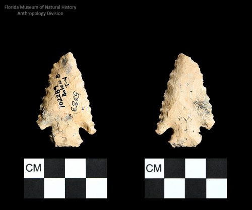 Bolen Beveled Subtype 4 | Early Dalton (Bullen)/Late Paleoindian (Milanich)