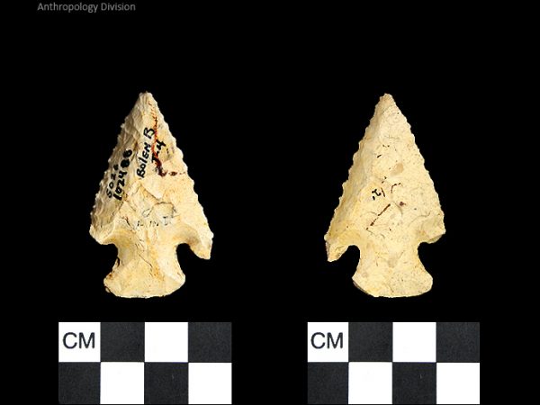 Bolen Beveled Subtype 4 | Early Dalton (Bullen)/Late Paleoindian (Milanich)