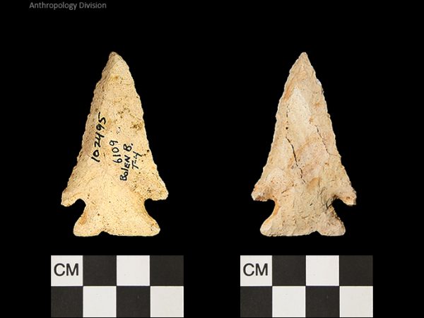 Bolen Beveled Subtype 4 | Early Dalton (Bullen)/Late Paleoindian (Milanich)