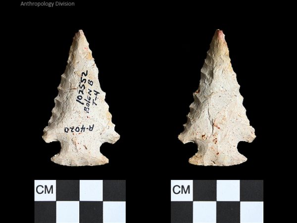 Bolen Beveled Subtype 4 | Early Dalton (Bullen)/Late Paleoindian (Milanich)