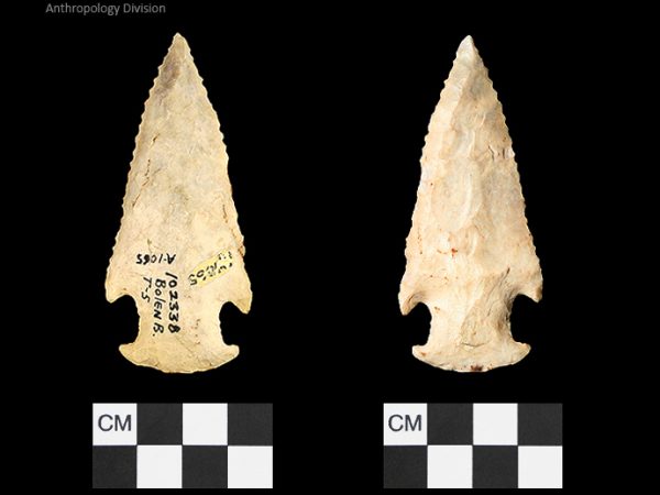Bolen Beveled Subtype 5 | Early Dalton (Bullen)/Late Paleoindian (Milanich)