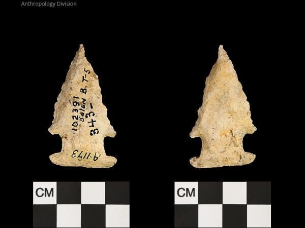 Bolen Beveled Subtype 5 | Early Dalton (Bullen)/Late Paleoindian (Milanich)