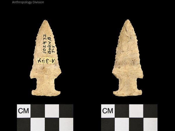 Bolen Beveled Subtype 5 | Early Dalton (Bullen)/Late Paleoindian (Milanich)