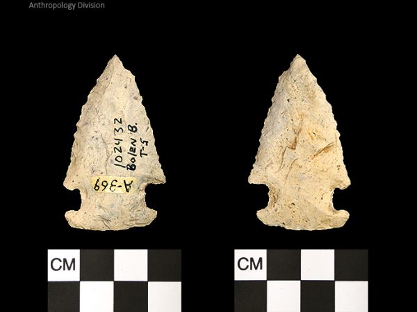 Bolen Beveled Subtype 5 | Early Dalton (Bullen)/Late Paleoindian (Milanich)