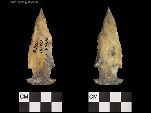 Bolen Beveled Subtype 5 | Early Dalton (Bullen)/Late Paleoindian (Milanich)