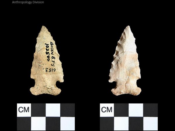 Bolen Beveled Subtype 5 | Early Dalton (Bullen)/Late Paleoindian (Milanich)