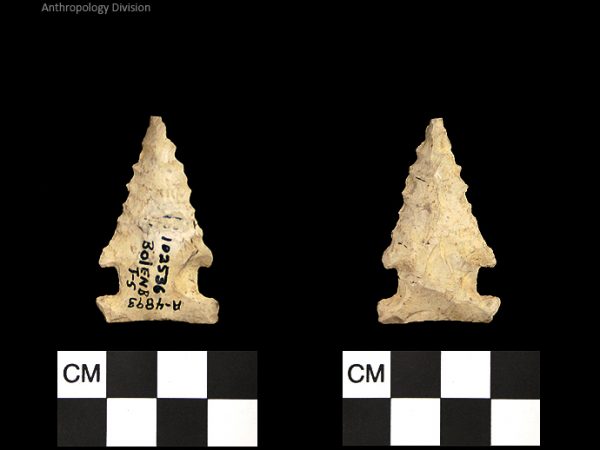 Bolen Beveled Subtype 5 | Early Dalton (Bullen)/Late Paleoindian (Milanich)