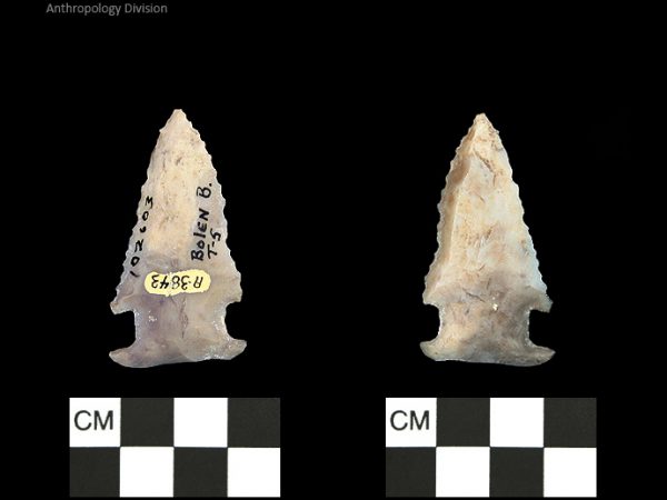 Bolen Beveled Subtype 5 | Early Dalton (Bullen)/Late Paleoindian (Milanich)
