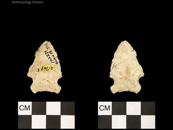 Bolen Plain Subtype 1 | Early Dalton (Bullen)/Late Paleoindian (Milanich)