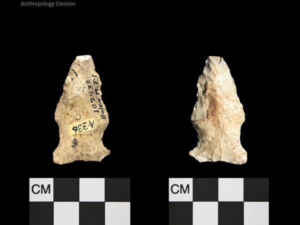 Bolen Plain Subtype 1 | Early Dalton (Bullen)/Late Paleoindian (Milanich)