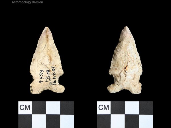 Bolen Plain Subtype 1 | Early Dalton (Bullen)/Late Paleoindian (Milanich)