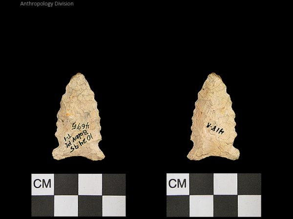 Bolen Plain Subtype 1 | Early Dalton (Bullen)/Late Paleoindian (Milanich)