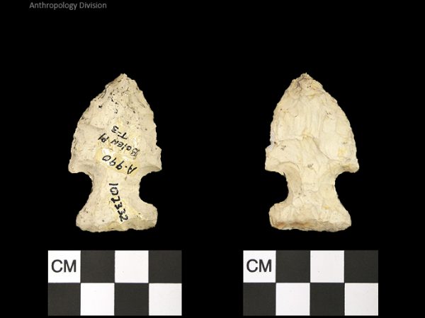 Bolen Plain Subtype 3 | Early Dalton (Bullen)/Late Paleoindian (Milanich)