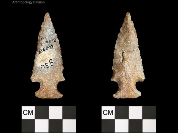 Bolen Plain Subtype 3 | Early Dalton (Bullen)/Late Paleoindian (Milanich)