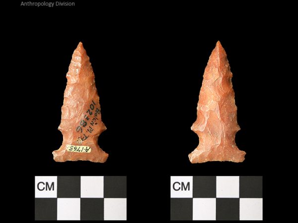 Bolen Plain Subtype 3 | Early Dalton (Bullen)/Late Paleoindian (Milanich)