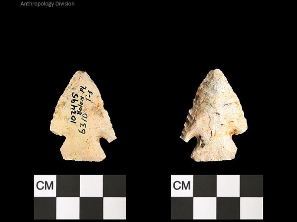 Bolen Plain Subtype 3 | Early Dalton (Bullen)/Late Paleoindian (Milanich)