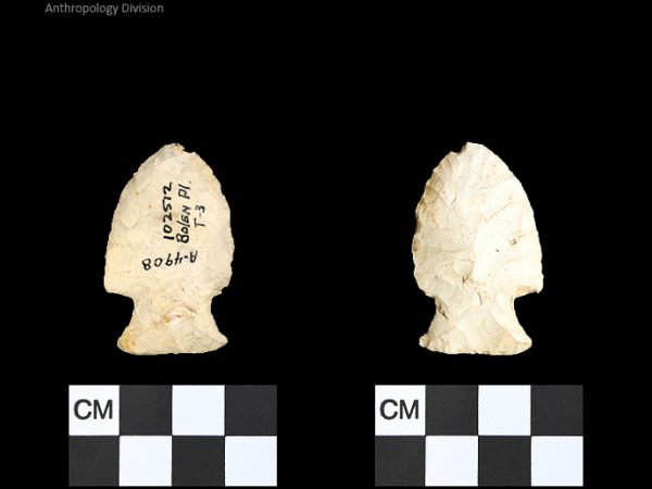 Bolen Plain Subtype 3 | Early Dalton (Bullen)/Late Paleoindian (Milanich)