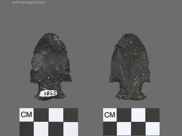 Bolen Plain Subtype 3 | Early Dalton (Bullen)/Late Paleoindian (Milanich)