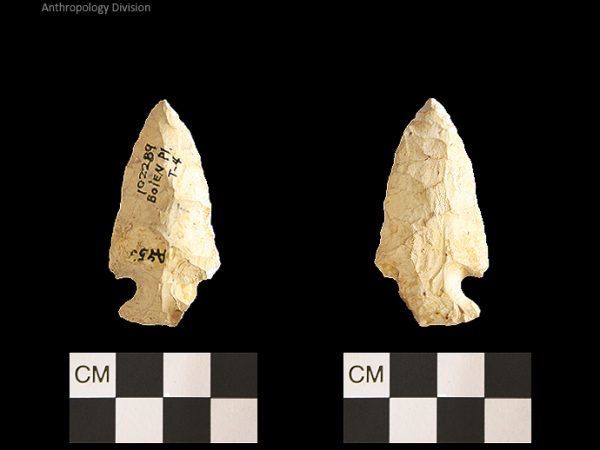 Bolen Plain Subtype 4 | Early Dalton (Bullen)/Late Paleoindian (Milanich)