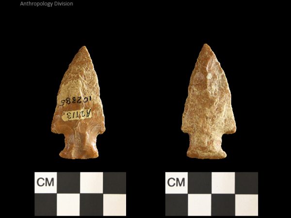 Bolen Plain Subtype 4 | Early Dalton (Bullen)/Late Paleoindian (Milanich)