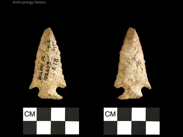 Bolen Plain Subtype 4 | Early Dalton (Bullen)/Late Paleoindian (Milanich)