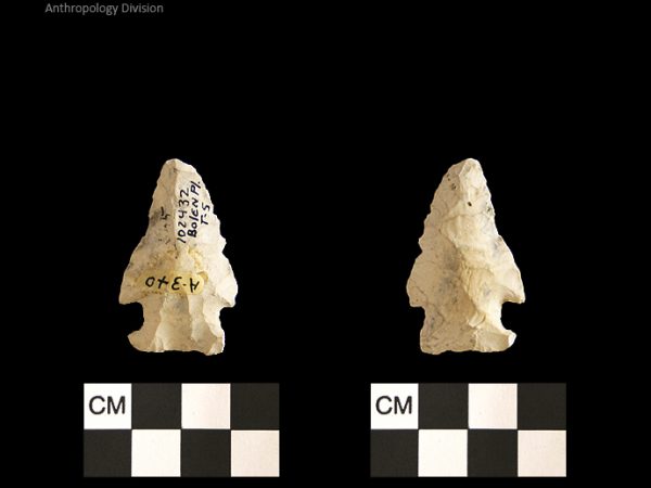 Bolen Plain Subtype 5 | Early Dalton (Bullen)/Late Paleoindian (Milanich)