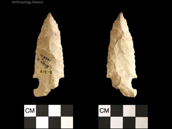 Bolen Plain Subtype 5 | Early Dalton (Bullen)/Late Paleoindian (Milanich)