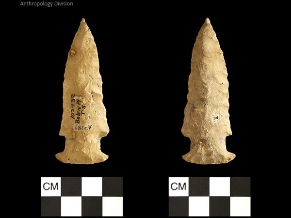 Bolen Plain Subtype 5 | Early Dalton (Bullen)/Late Paleoindian (Milanich)