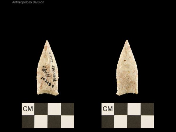 Beaver Lake | Late Dalton (Bullen)/Late Paleoindian (Milanich)