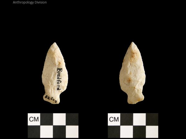 Bradford | Mississippian/Post-Archaic Regional