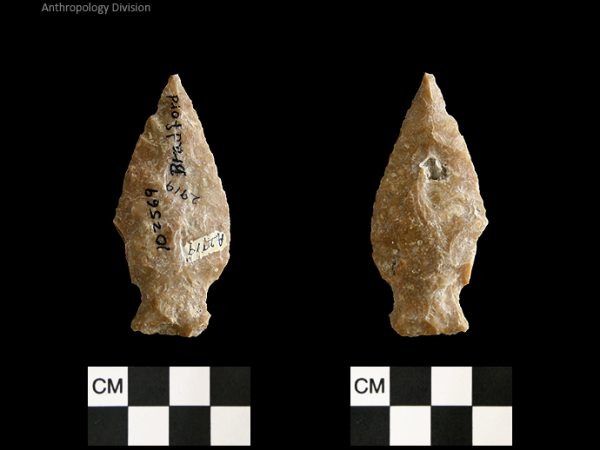 Bradford | Mississippian/Post-Archaic Regional
