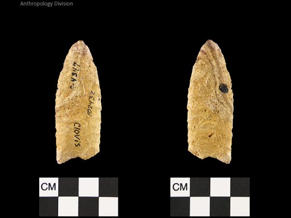 Clovis | Paleoindian