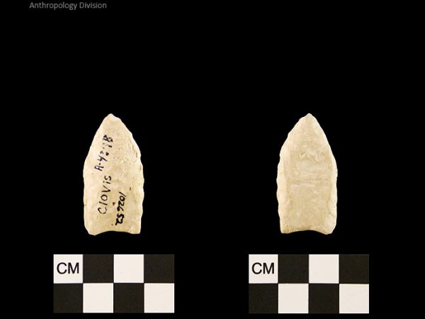 Clovis | Paleoindian