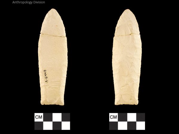 Clovis | Paleoindian