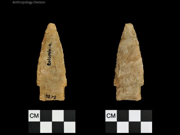 Columbia | Mississippian/Post-Archaic Regional