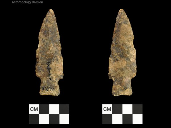 Columbia | Mississippian/Post-Archaic Regional