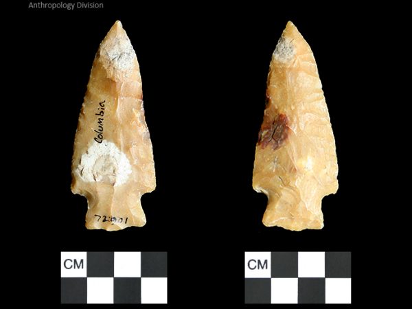 Columbia | Mississippian/Post-Archaic Regional