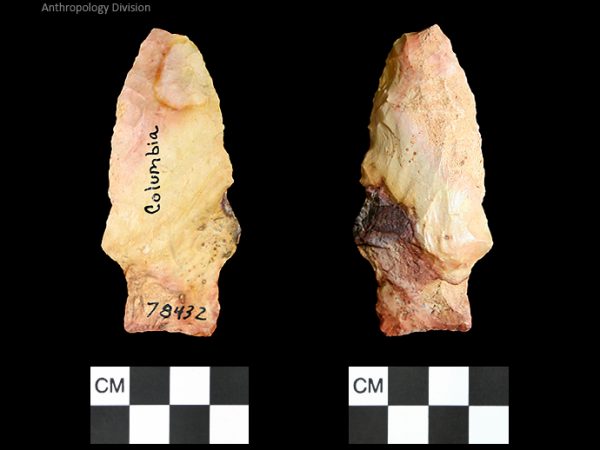 Columbia | Mississippian/Post-Archaic Regional