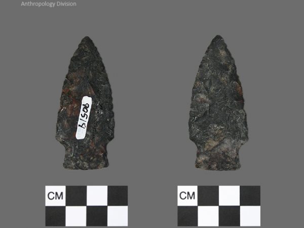 Columbia | Mississippian/Post-Archaic Regional