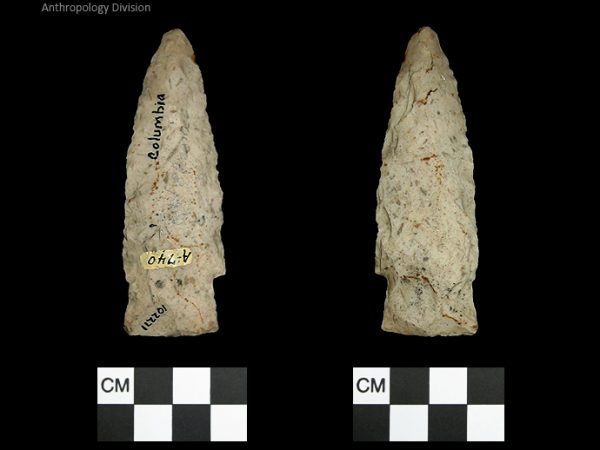 Columbia | Mississippian/Post-Archaic Regional