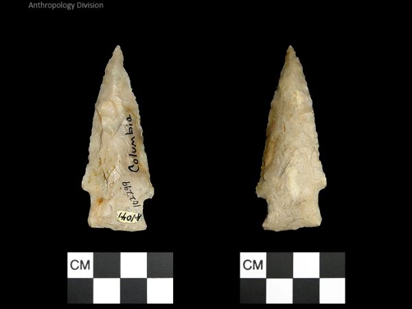 Columbia | Mississippian/Post-Archaic Regional