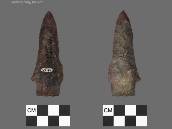 Columbia | Mississippian/Post-Archaic Regional