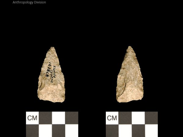 Florida Copena | Woodland/Post-Archaic Regional