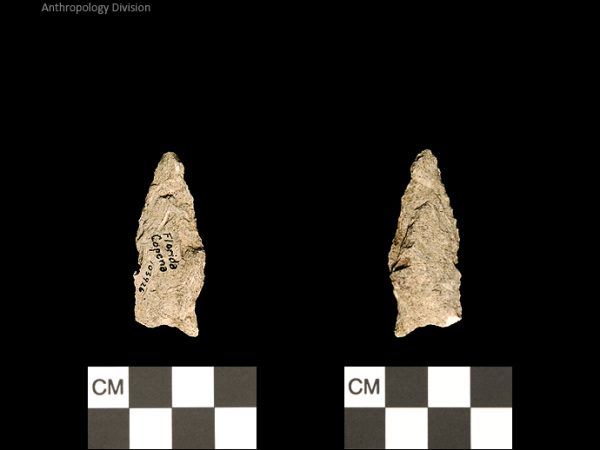 Florida Copena | Woodland/Post-Archaic Regional