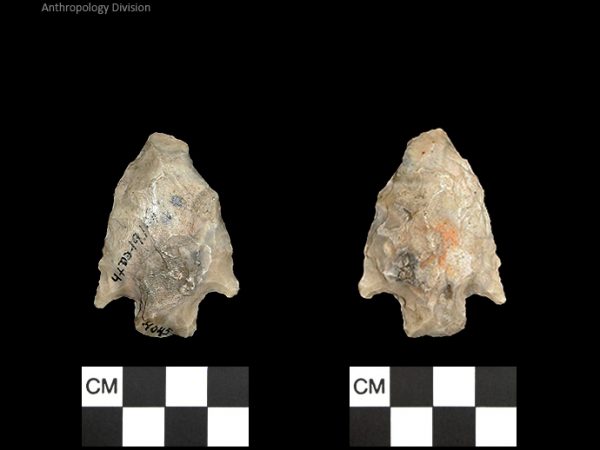 Culbreath | Late Archaic