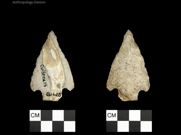 Culbreath | Late Archaic