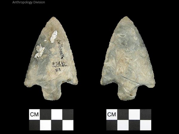 Culbreath | Late Archaic