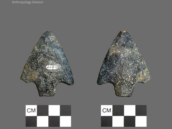 Culbreath | Late Archaic