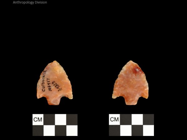 Culbreath | Late Archaic